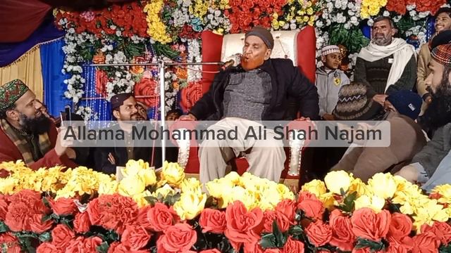 Jashan e Imam Ali a.s by Allama Mohammad Ali Shah Najam смотреть онлайн
