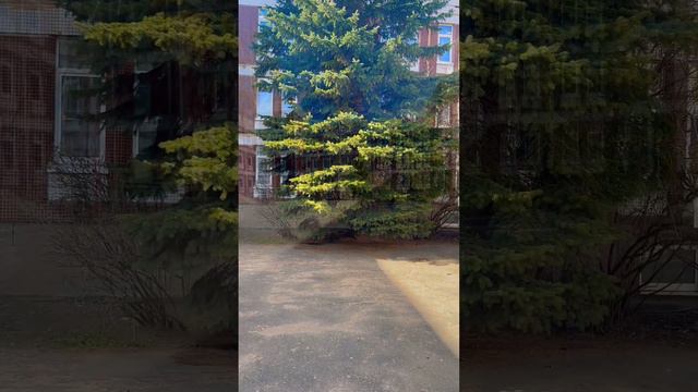 Прогулки в школьном дворе смотреть онлайн