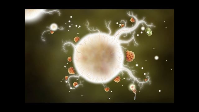 Botanicula | Милая милота в неймоверной няшности. смотреть онлайн