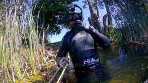 ПОДВОДНАЯ ОХОТА в камыше на щуку на малых реках с арбалетом