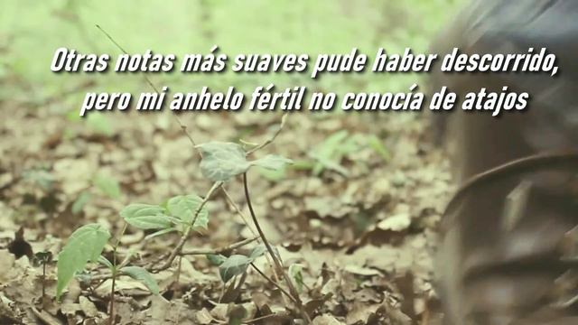 CANCIÓN DESNUDA - JULIA DE BURGOS смотреть онлайн