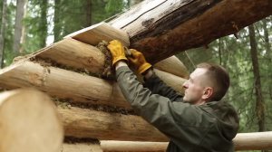 Начало строительства хижины в тайге🏕