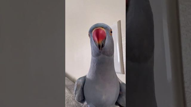 Важное признание для тебя смотреть онлайн