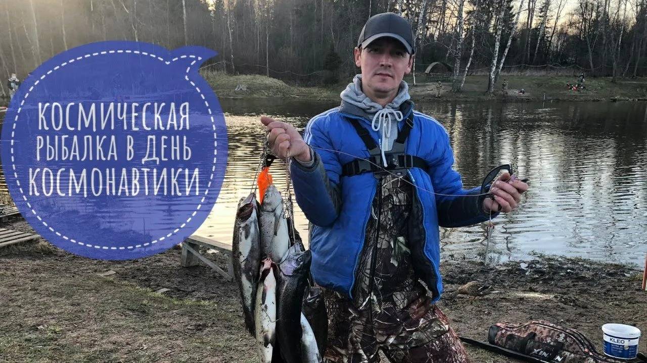 Рыба СИГ. Первый раз ловлю сига на фидер. Рыбалка на платнике весной. смотреть онлайн