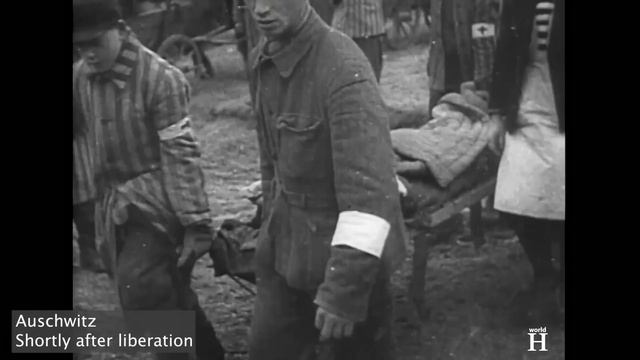 Extremely HORRIBLE Crimes of Johann Kremer - BESTIAL Nazi DOCTOR at Auschwitz during World War 2 смотреть онлайн