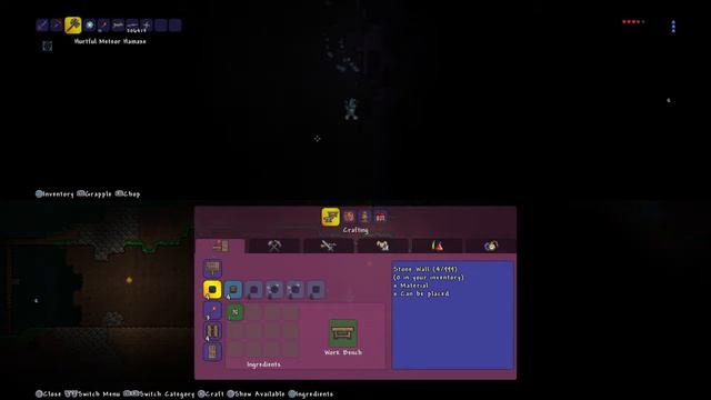 Terraria My Birthday World