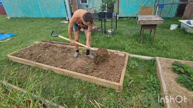 Собираем урожай чеснока 18 июля 24 г.