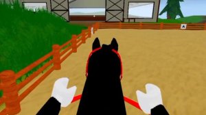 день на коннюшня//Антипиар