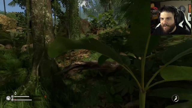JOGO DE SOBREVIVÊNCIA NA AMAZÔNIA | Green Hell #1 смотреть онлайн