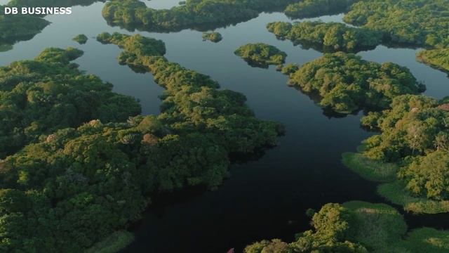 Just Happened! Scientists Just Discovered a Strange Place in the Amazon смотреть онлайн
