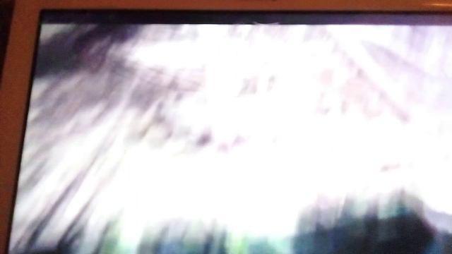 Московский зоопарк. Мексиканский ядозуб