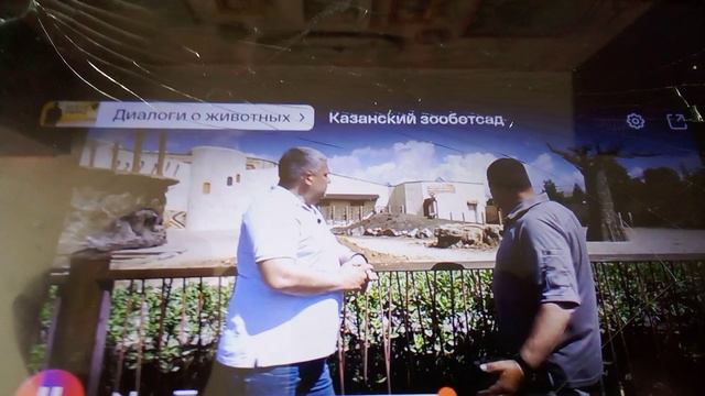 Слон Филимон в Казани. Очень любопытный и игривый симпатичный.