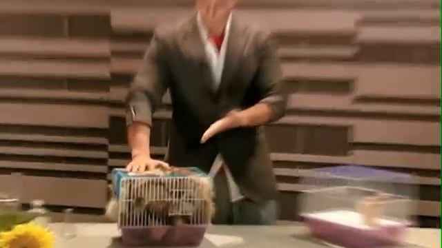 Большая разница: выпуск 15 смотреть онлайн