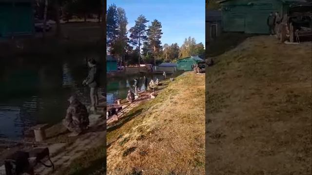 подборка поимок сегодня утром смотреть онлайн