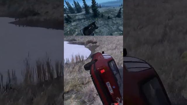 DayZ-Осторожно за рулем новичек shorts short