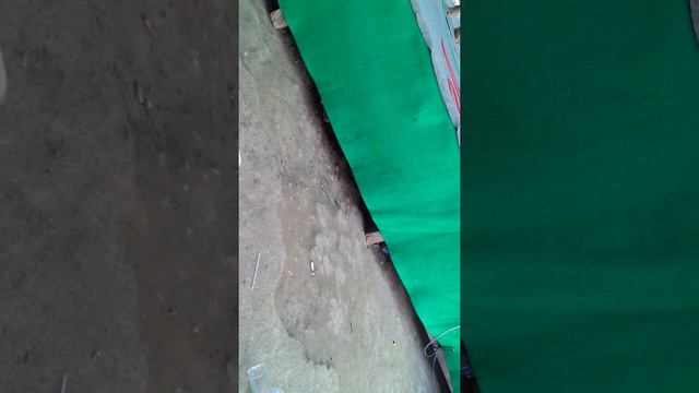 Puisi sketsa nata смотреть онлайн