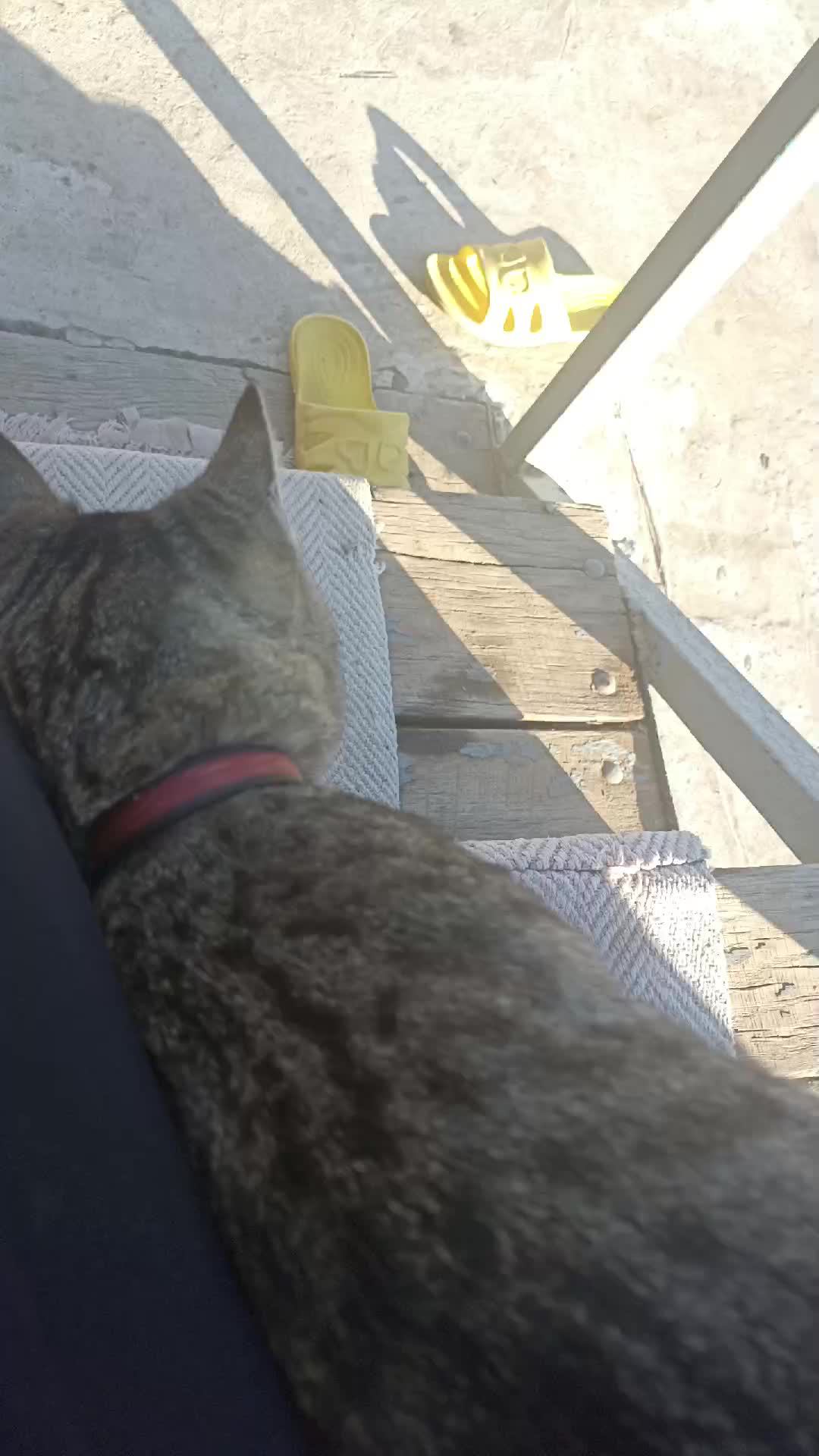 тслвьадала