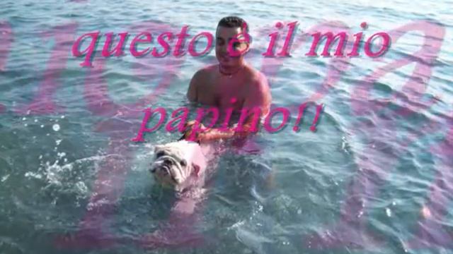 Bulldog inglese Orfeo смотреть онлайн