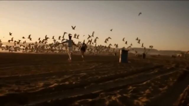 Эльбрус Джанмирзоев - Черное Море смотреть онлайн