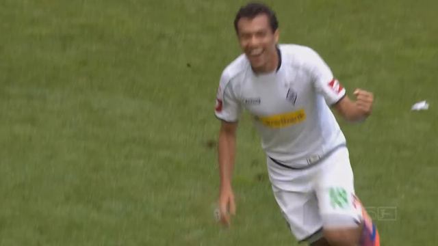 The Special Juan - All of Juan Arango's Goals in the Bundesliga смотреть онлайн