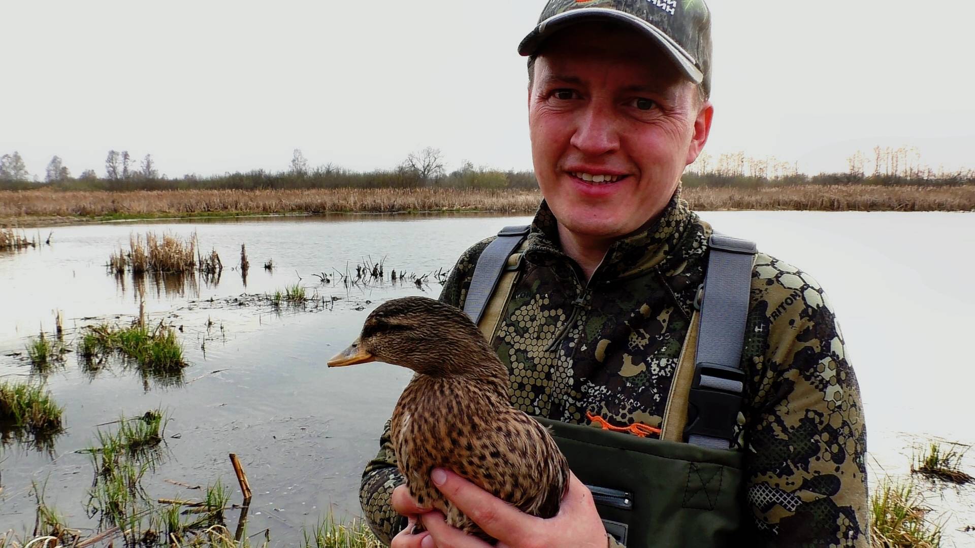 Весенняя охота на селезня / Охота с подсадной / На селезня из палатки засидки смотреть онлайн