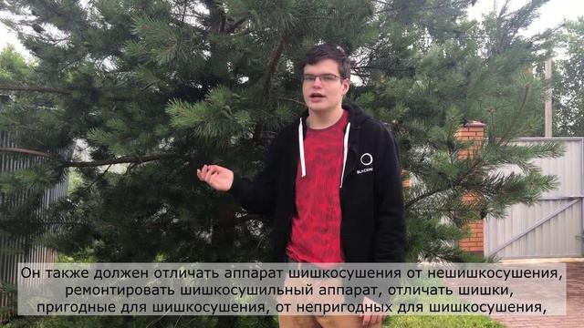 "Tongue-twister challenge": требуется шишкосушильщик смотреть онлайн