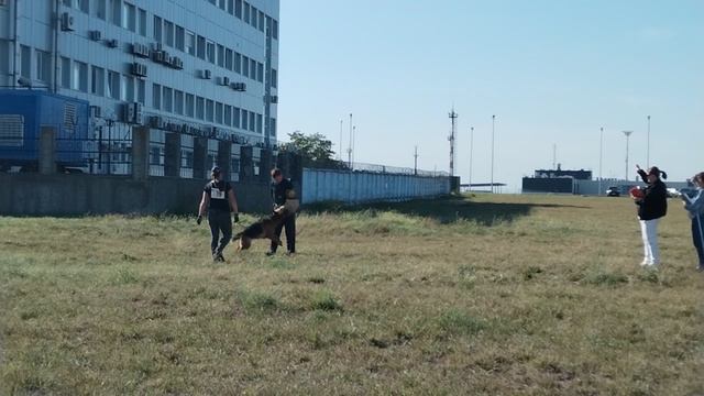 1 Отл. КЧК KATANA v. Heerbusch +++ №19