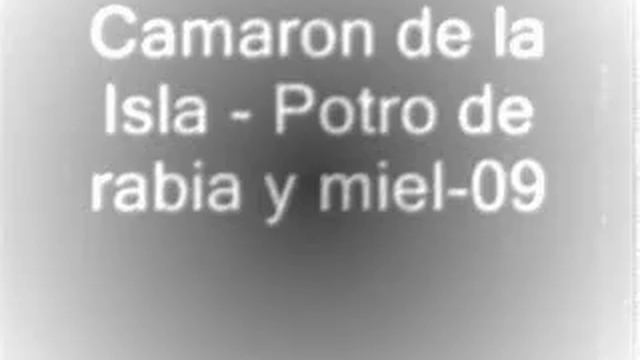 camaron de la isla potro de rabia y miel смотреть онлайн