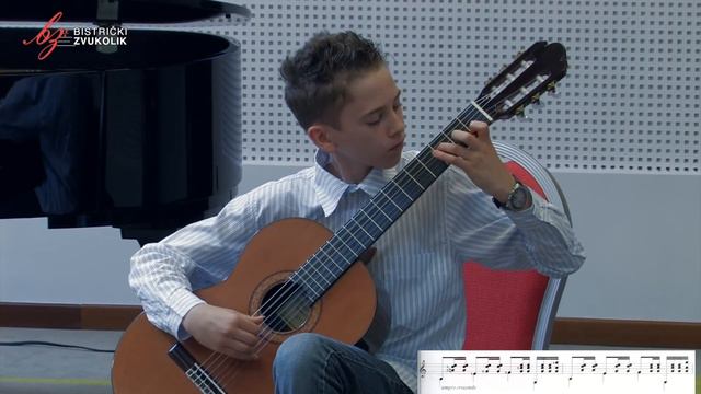 Anton Bashota: Coprnice - Luka Prpić, gitara / Bistrički ZVUKOLIK 2014. смотреть онлайн