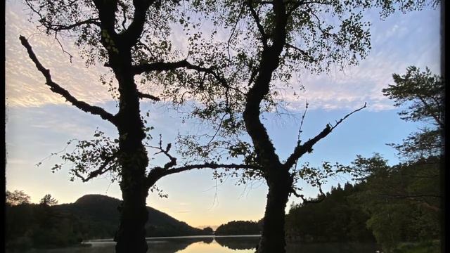 The Art of Travel. Arve Henriksen & Terje Isungset 2020. смотреть онлайн