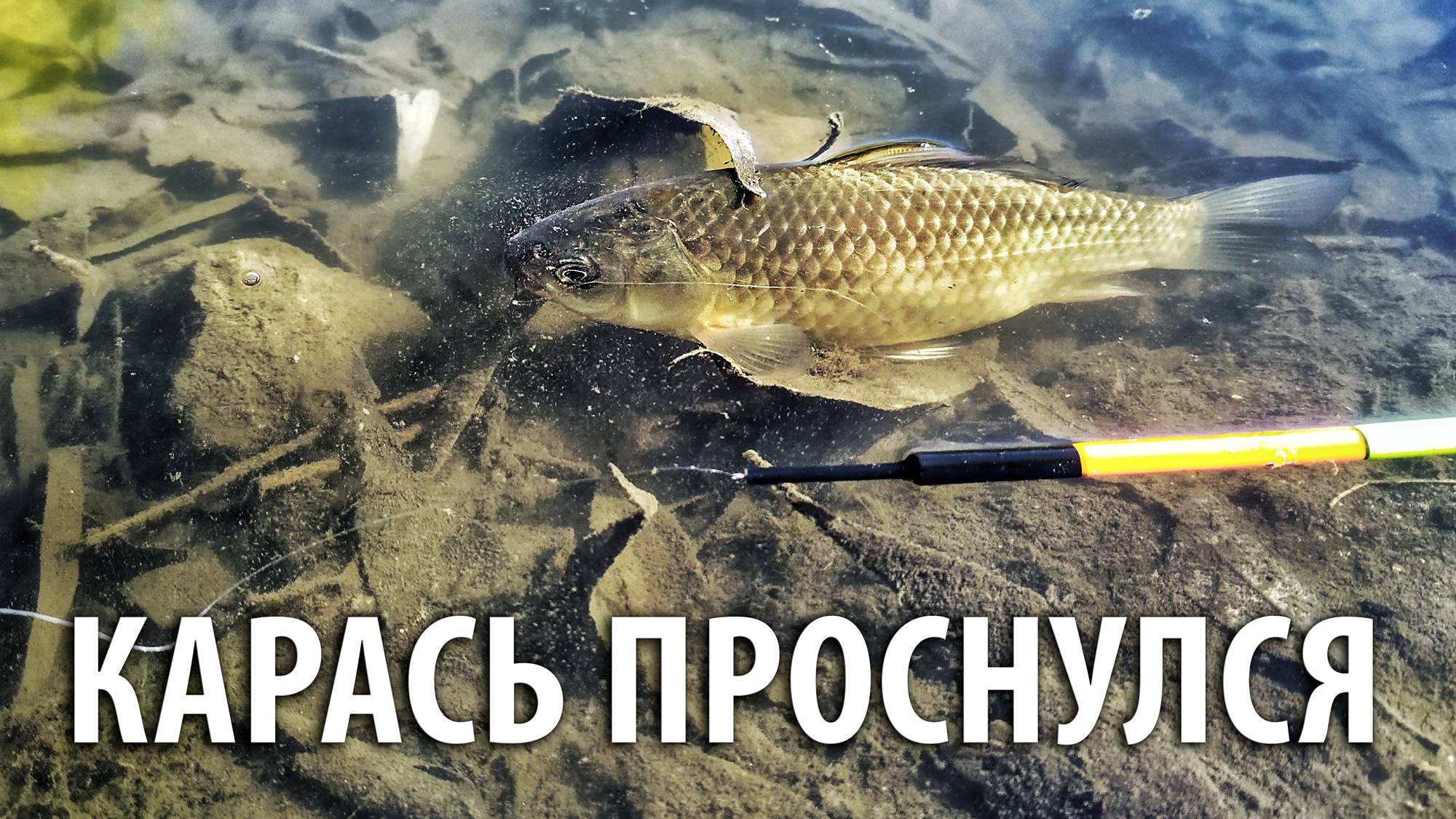 Карась проснулся! Весенняя рыбалка в Москве. Ловля карасей на поплавок. смотреть онлайн