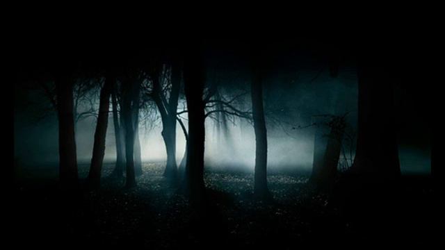 С.Курий - Страшилка (на ст.С.Аксёненко).wmv смотреть онлайн