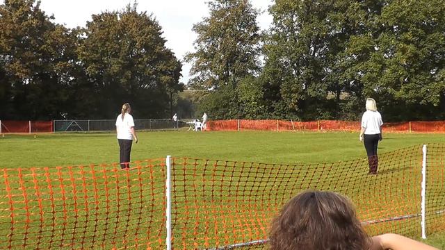 dhv DM Chester 2014 смотреть онлайн