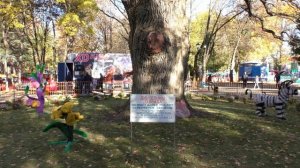 Детский парк города Симферополь.