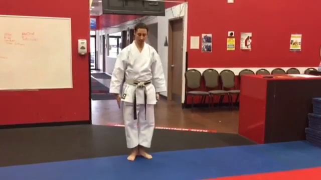 Warren Levi Karate- Entering the training floor смотреть онлайн