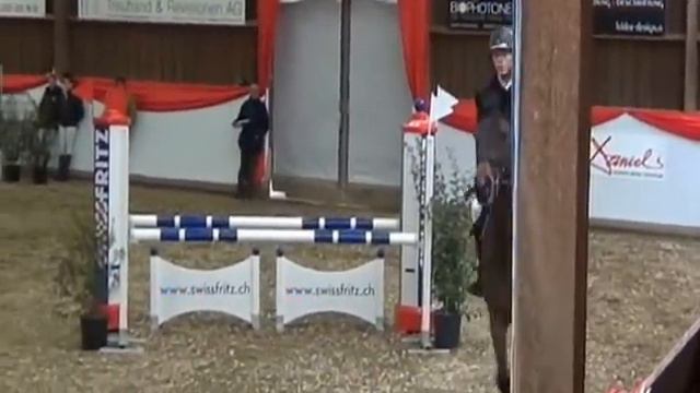 Heiniger-Pferde.com Contender x Lavall II Holst. Wall.1997 смотреть онлайн