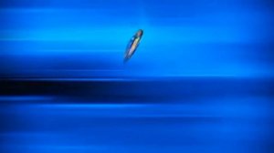 💥WatchCar💥//Клип "Мальчики чики-чики"//Кай💚//Джино💙//Рой❤️//Лео🤍//Ганс💜//Ари💗//Луна♥️//Софи💟//