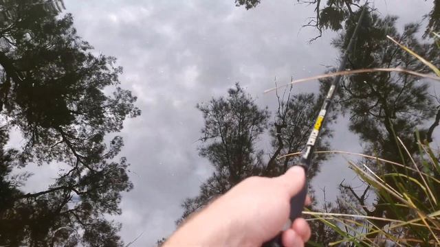 Cox River Trout Fishing смотреть онлайн