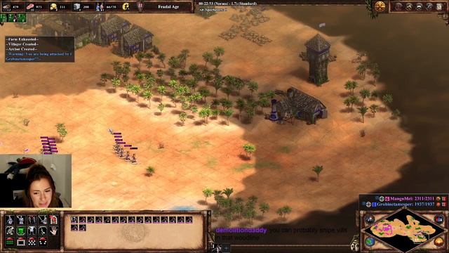 AOE2 Coaching Attempt with Low Elo Legend MangoMel смотреть онлайн