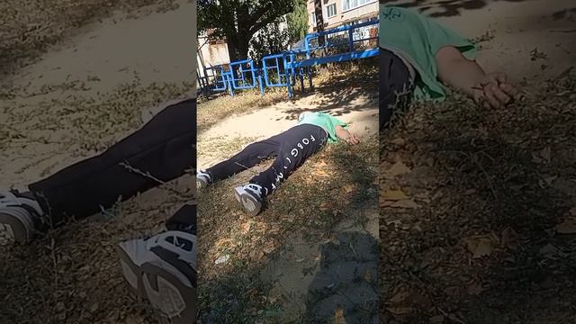 жизнь квадронитоэтропедробобера