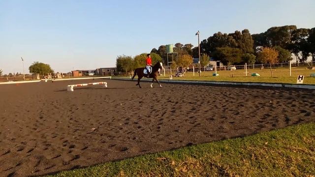 Jayden Steyn BBPC Prix Caprilli смотреть онлайн