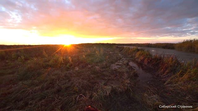 №3_Помощник_вырос_достойный_