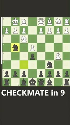CHECKMATE in 9 смотреть онлайн