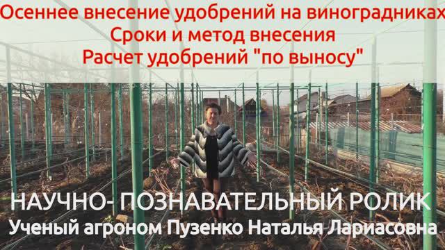 Осеннее внесение удобрений на винограднике Продаю черенки саженцы виноград https://shop.vinograd7.ru смотреть онлайн