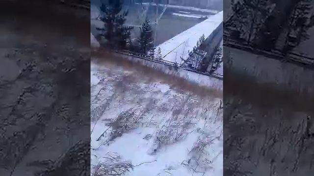 Лиса на ГЭС