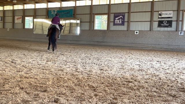Katherine & Clarence: Peter Grey dressage clinic (October 2022) смотреть онлайн