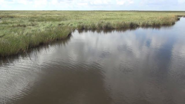 Paradise Louisiana 839 смотреть онлайн