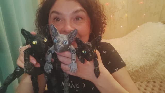 АСМР Увлечения моего мужа 4. Кошачья банда. Мои подарочки. смотреть онлайн