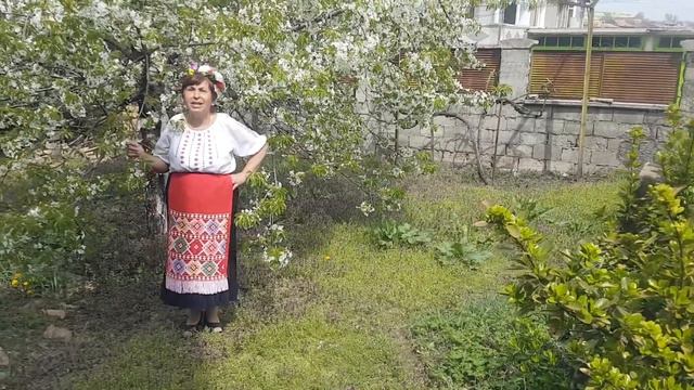И ходих Мамо - Изпълнител: Пенка Миланова смотреть онлайн