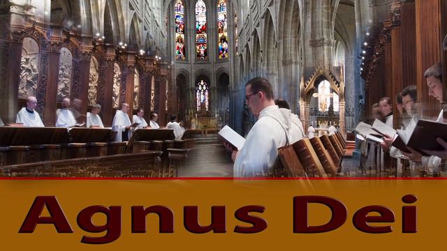Agnus Dei - Canticum Canticorum смотреть онлайн